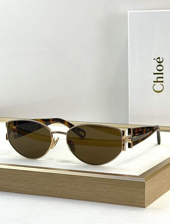 Picture of Chloe Sunglasses _SKUfw76161150fw